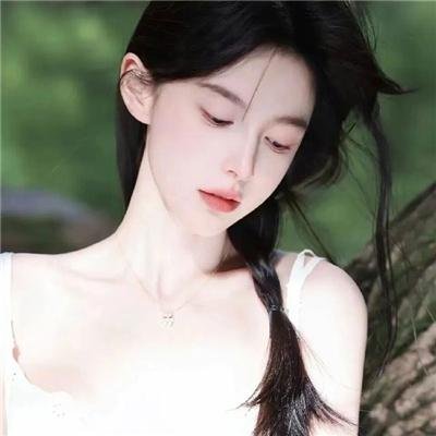 莫西干回到故乡